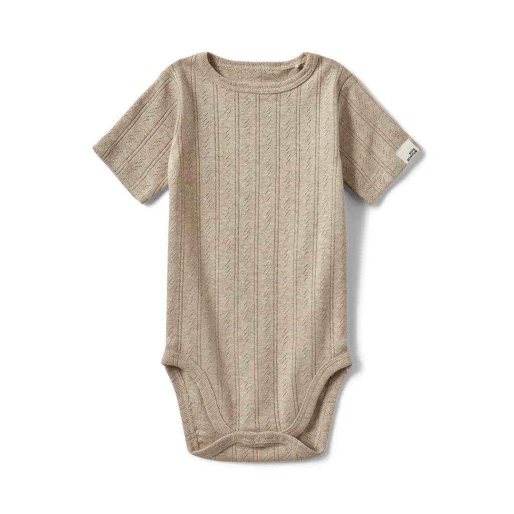 Dictesb body - 7015 - 62