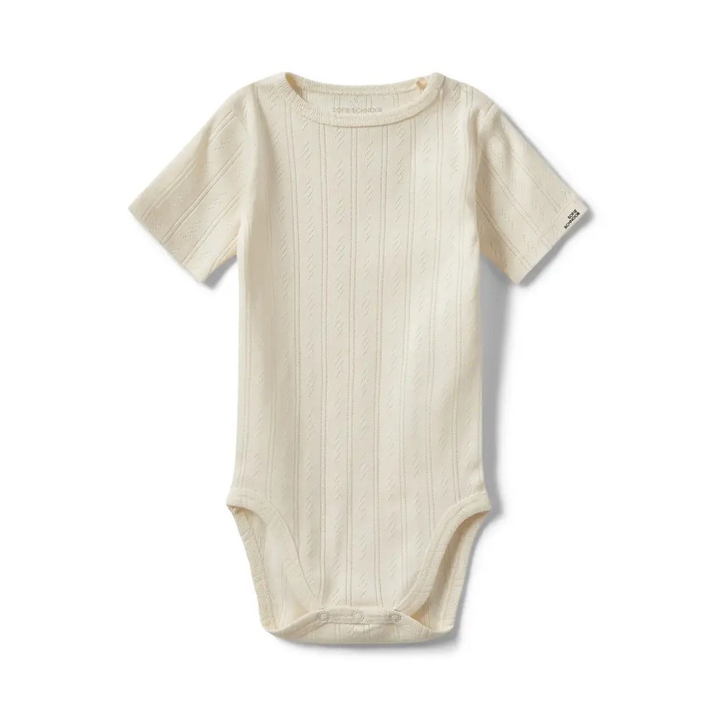 Dictesb body - 0109 - 86