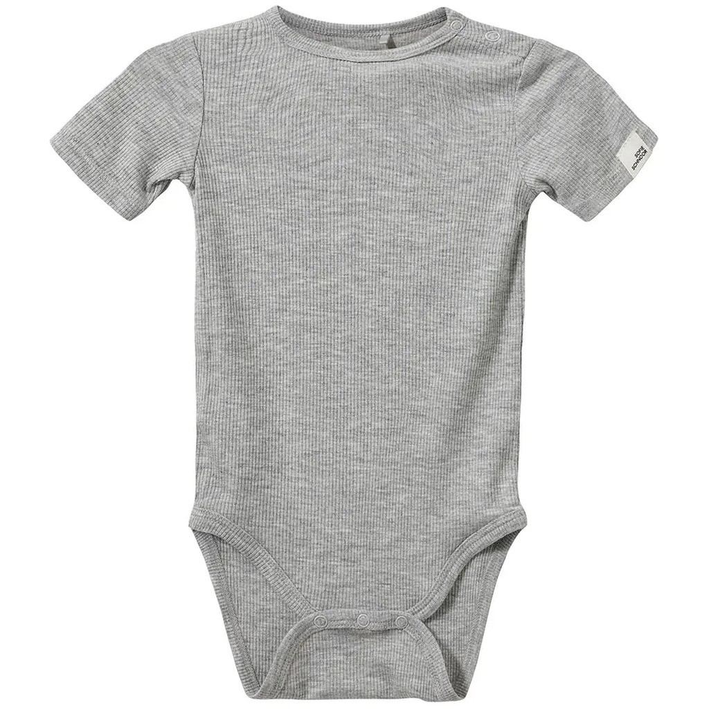 Dictesb body - 8000 - 74