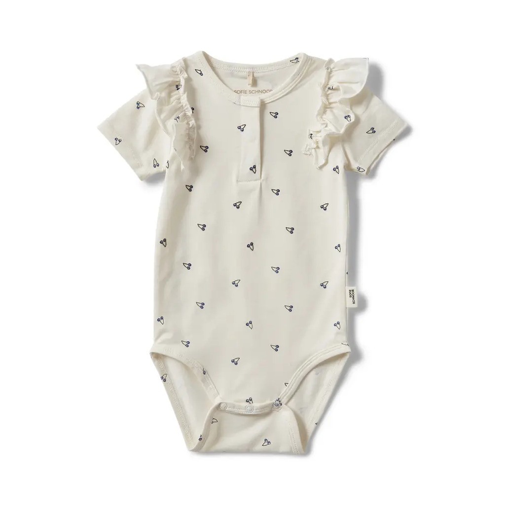 Dictesb body - 0103 - 62