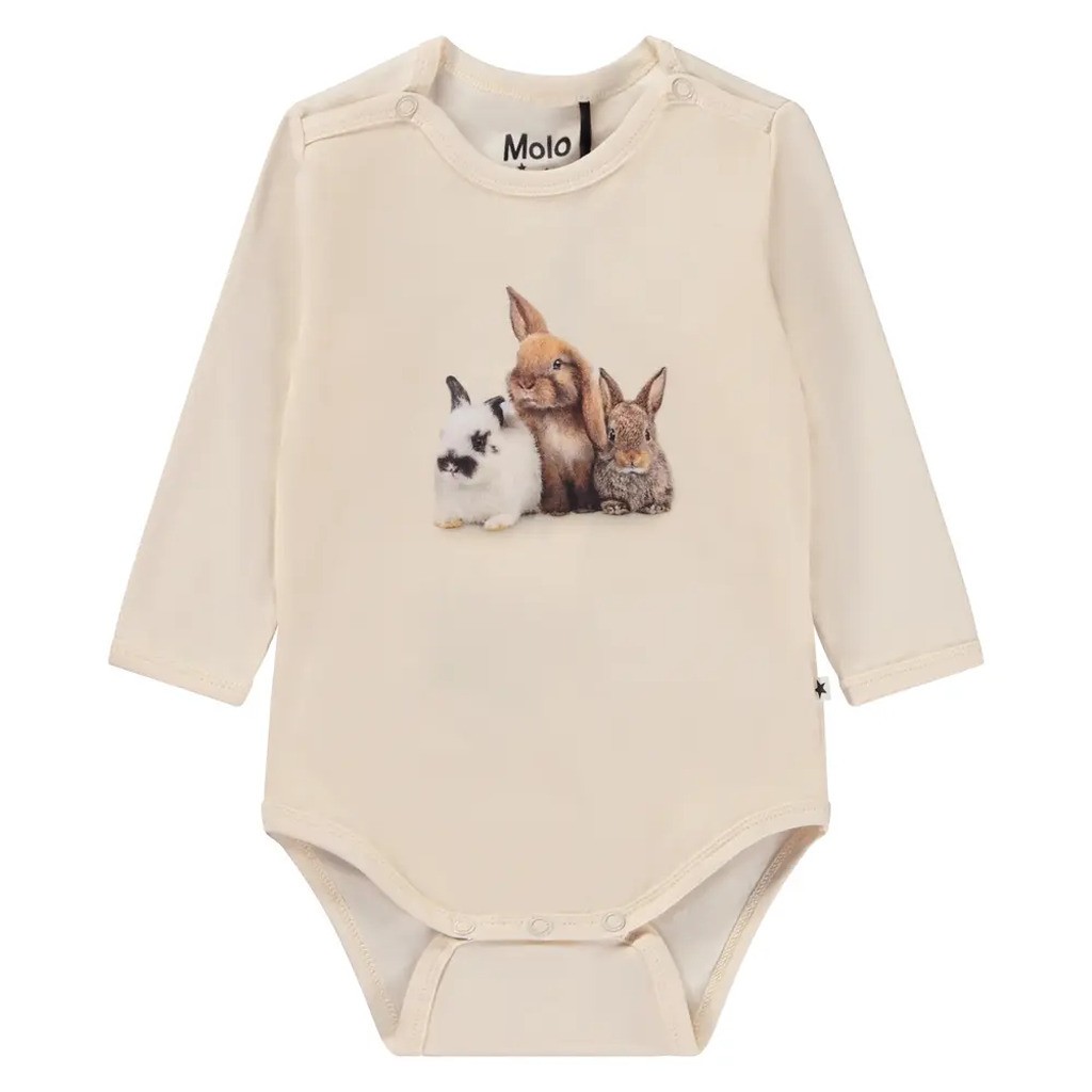 Foss body - Rabbit Group - 62