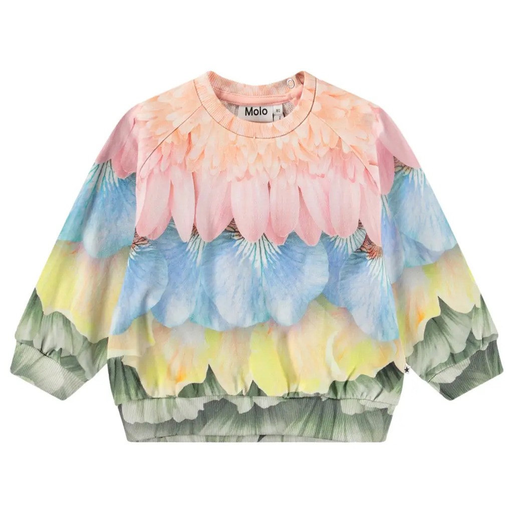 Disc Sweatshirt - Petal rainbow - 92