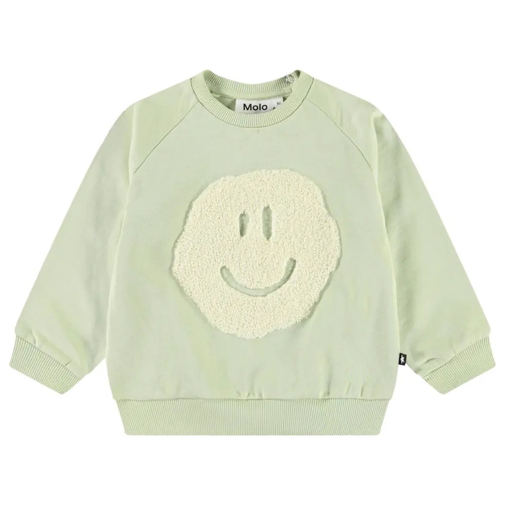 Disc Sweatshirt - Misty green - 62