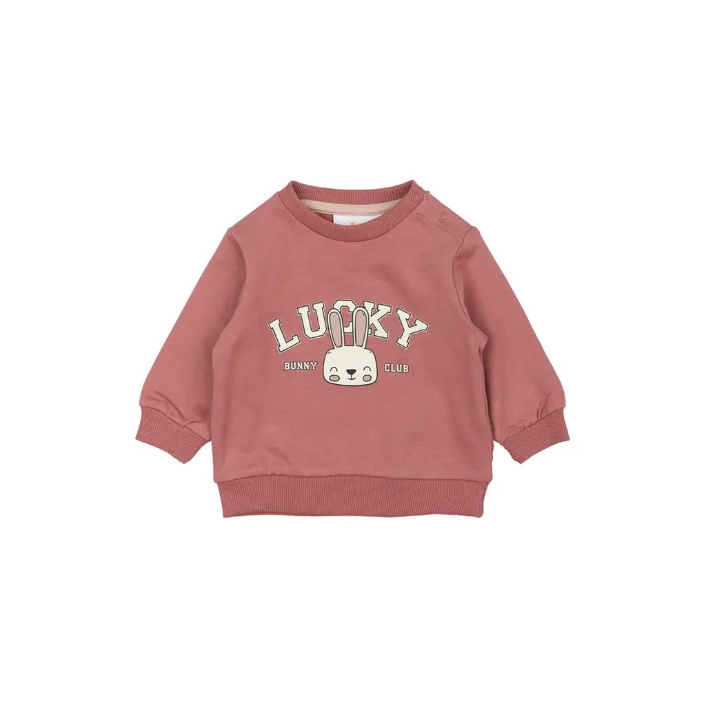 Pheba Sweatshirt - Withered rose - 68