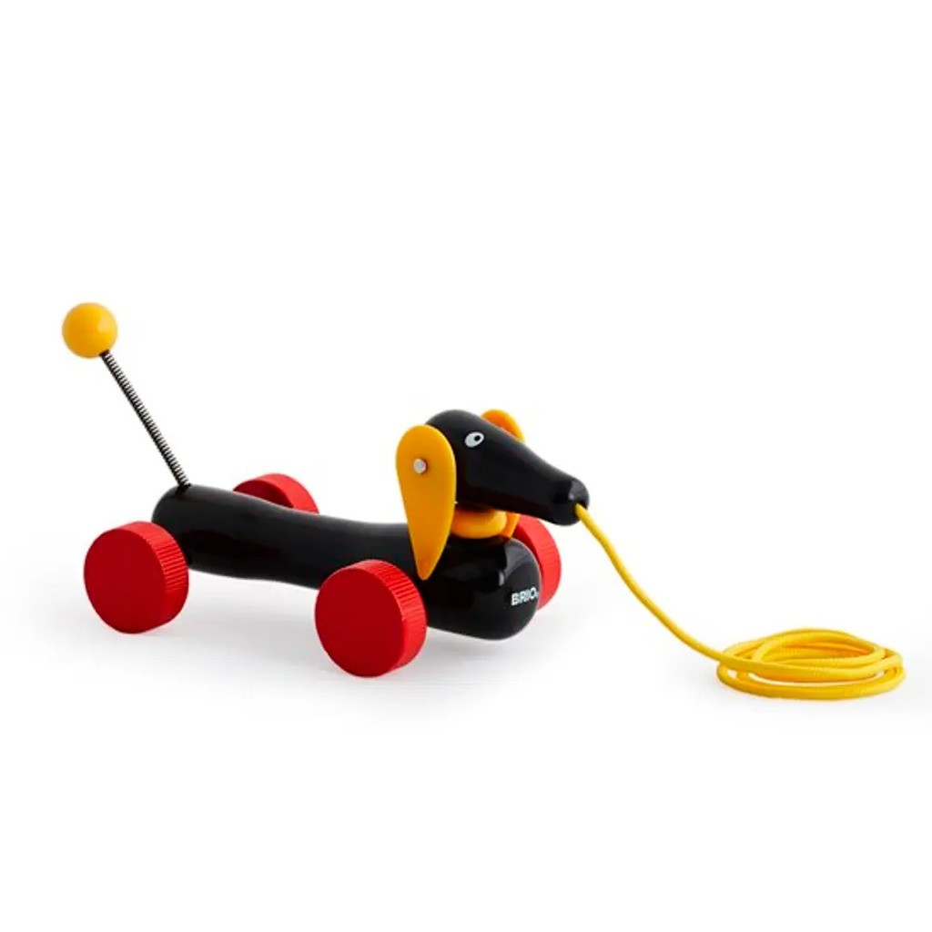 Dachsie, hund, Pull along - FSCÂ®