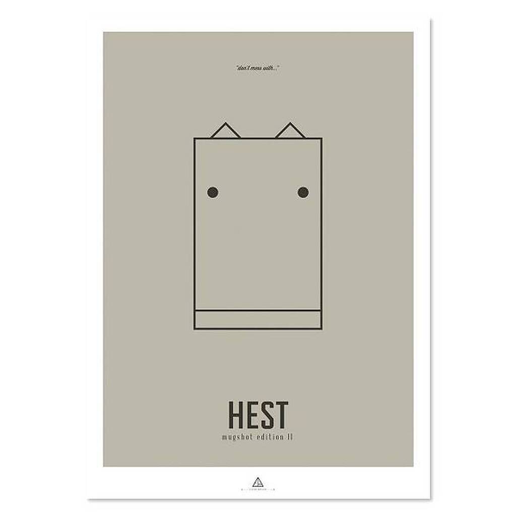 Arthur Zoo - First Edition - Hest - A4
