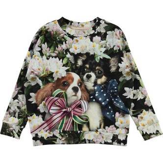 Molo - Maxi Sweatshirt - Pretty Puppies - 110