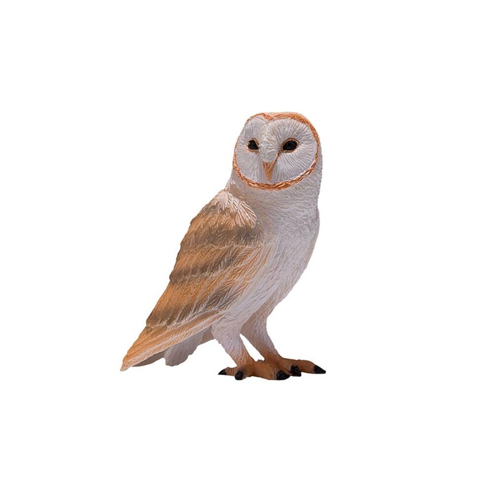 Mojo Wildlife Barn Owl