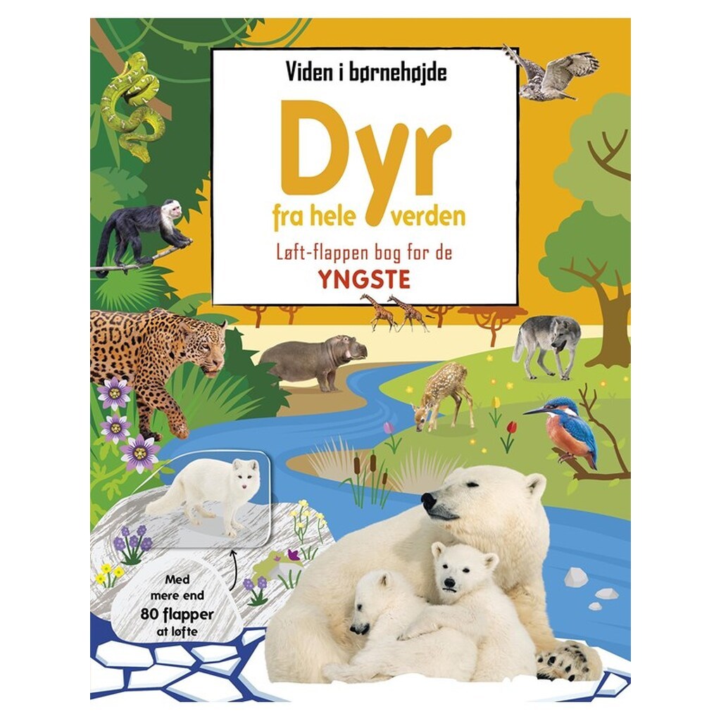 Viden i børnehøjde - Dyr fra hele verden - Børnebog - hardcover