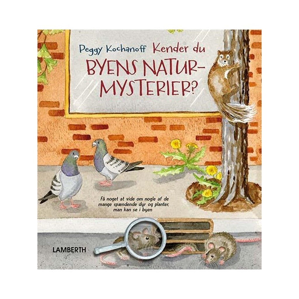 Kender du byens naturmysterier? - Børnebog - Hardcover