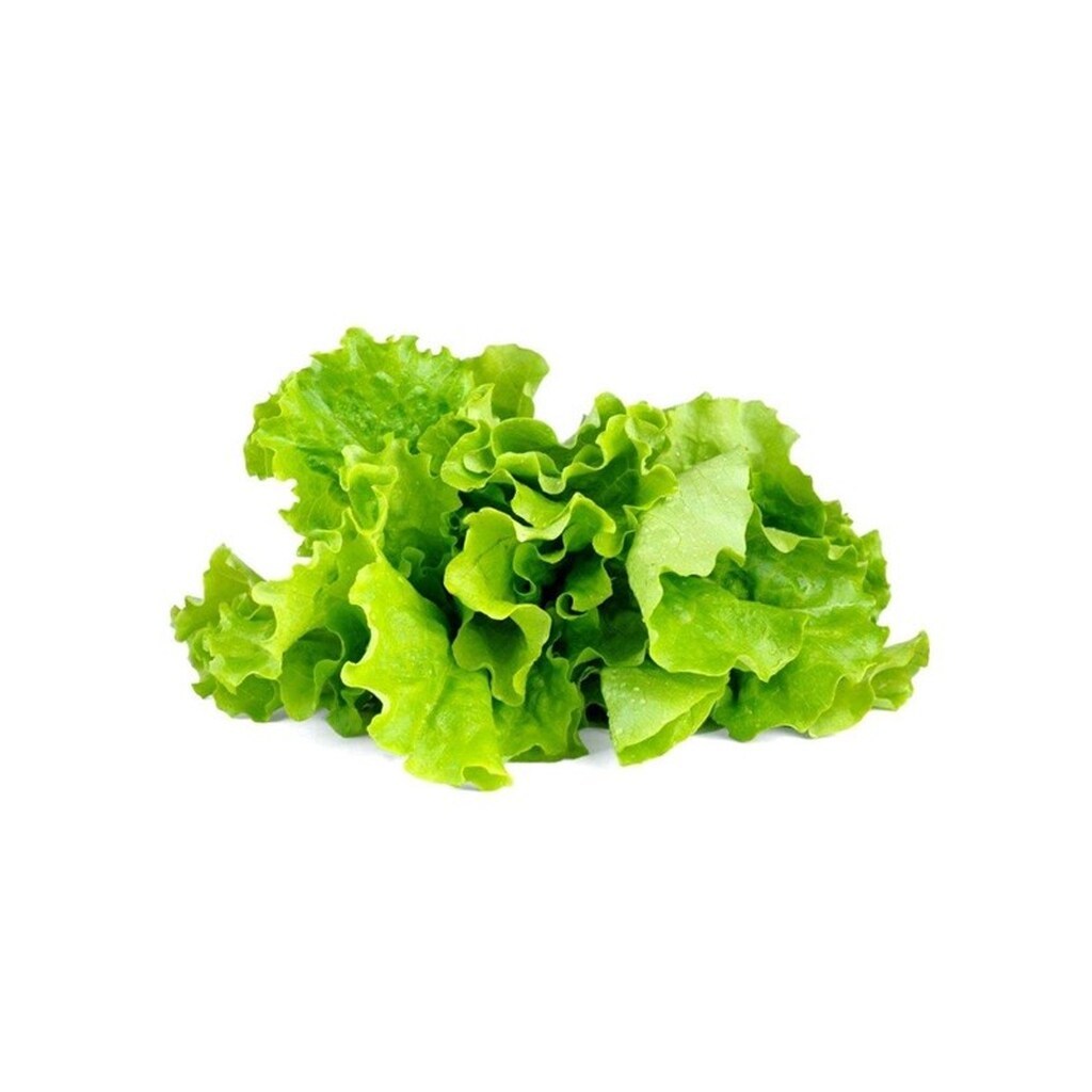 Click &amp; Grow Click and Grow - Smart Garden Refill 3-pack - Green Lettuce (SGR32X3)
