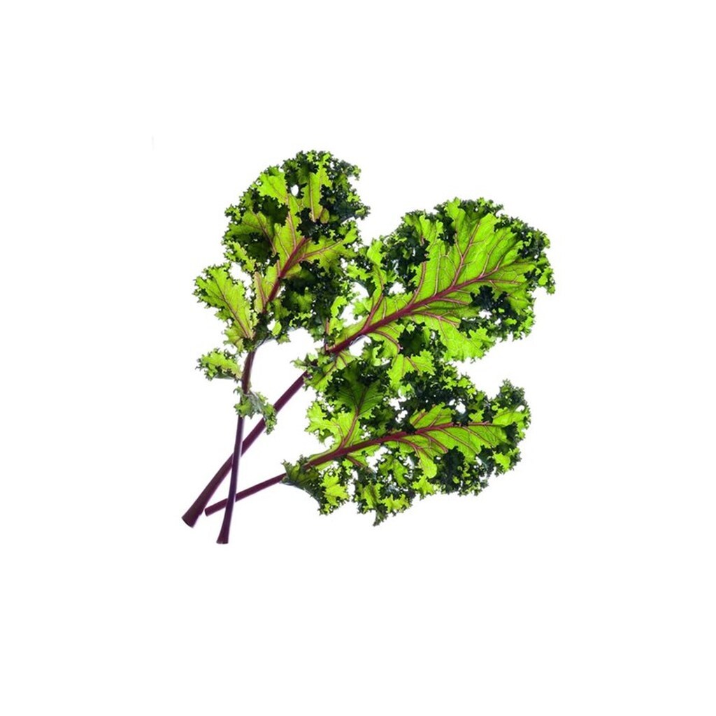 Click &amp; Grow Smart Garden Refill 3-pack - Red Kale