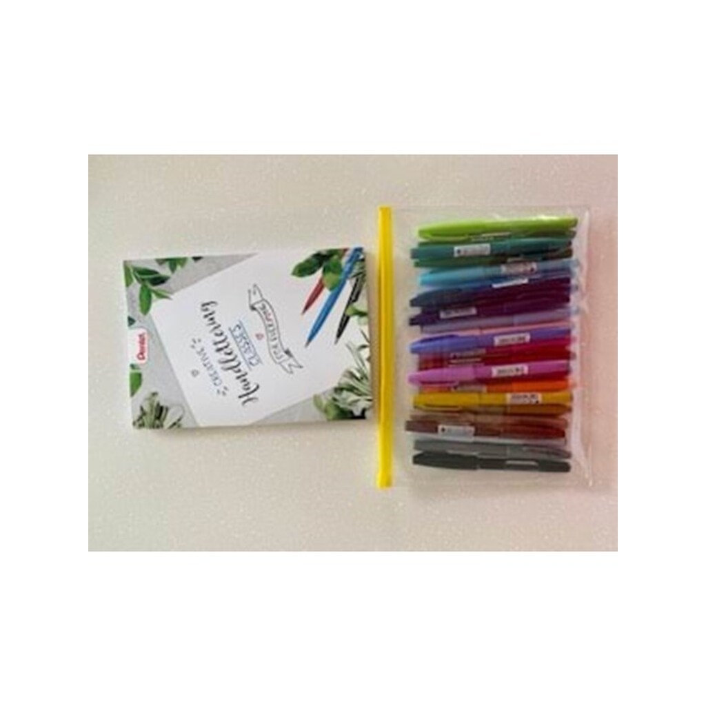 Pentel SES15-24 Brush Sign Pen Plastic cover