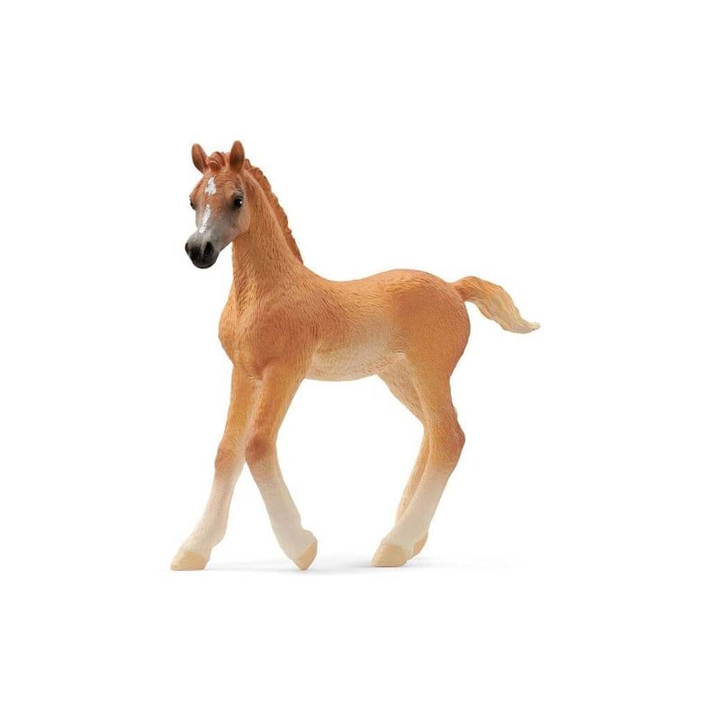 Schleich Araberføl
