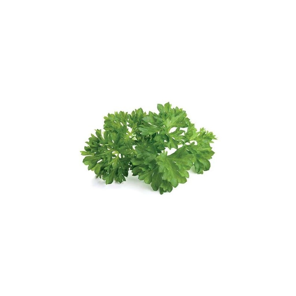 Click &amp; Grow Smart Garden Refill 3-pack - Parsley