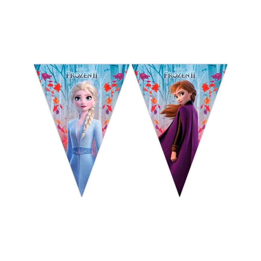 Folat BV Disney Frozen 2 Bunting 2mtr.
