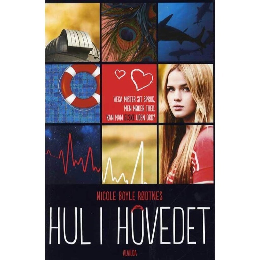 Hul i hovedet - Ungdomsbog - paperback