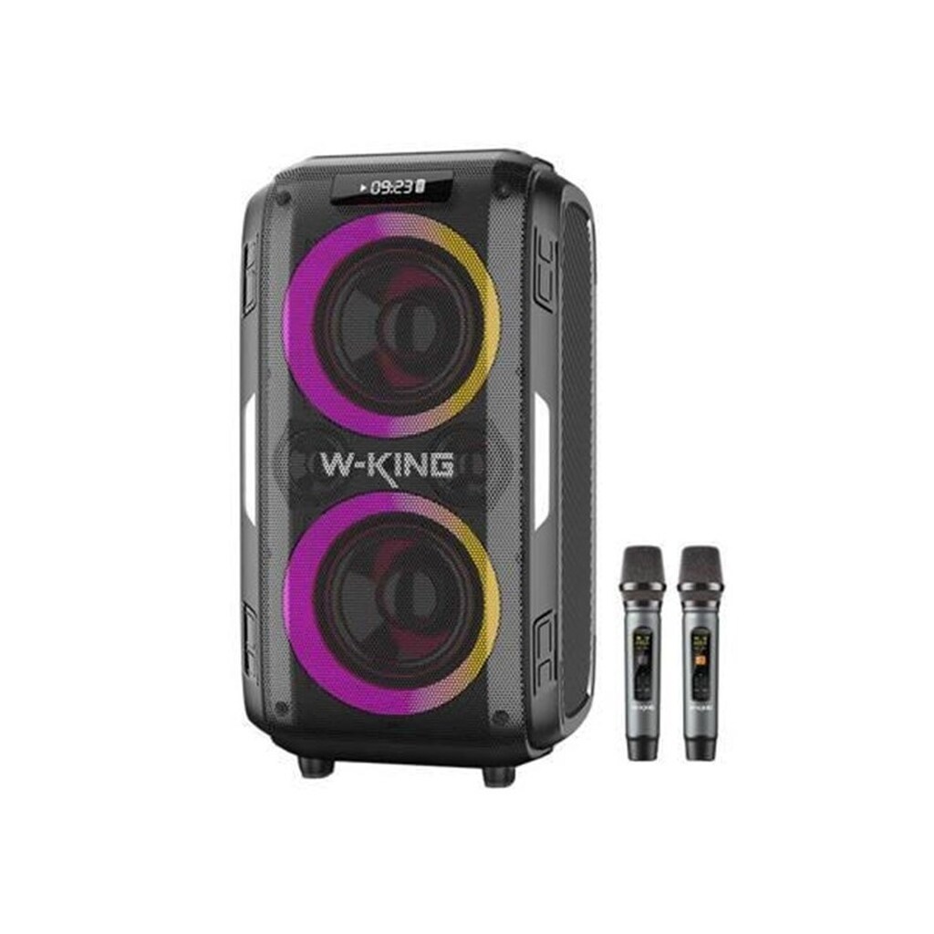 W-KING Wireless Bluetooth Speaker  T9 Pro 120W (black)