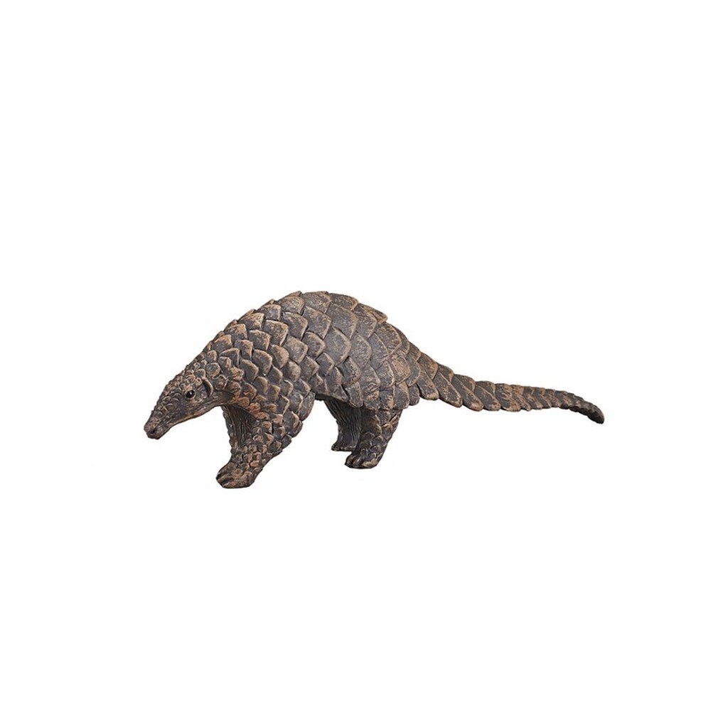 Mojo Wildlife Indian Pangolin