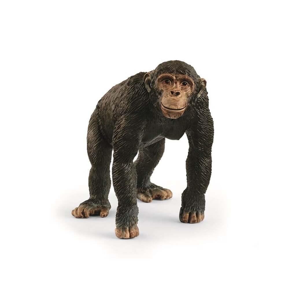 Schleich Chimpanse