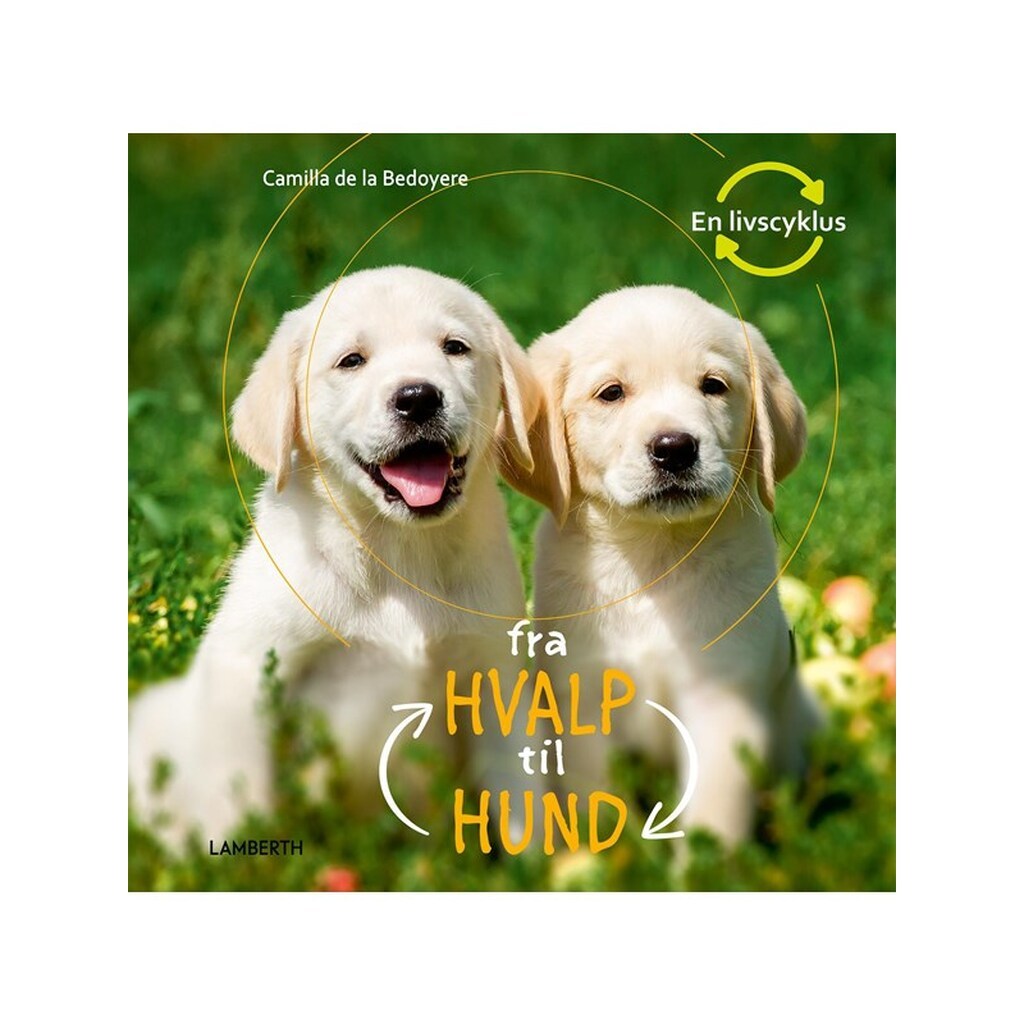 Fra hvalp til hund - Børnebog - hardcover