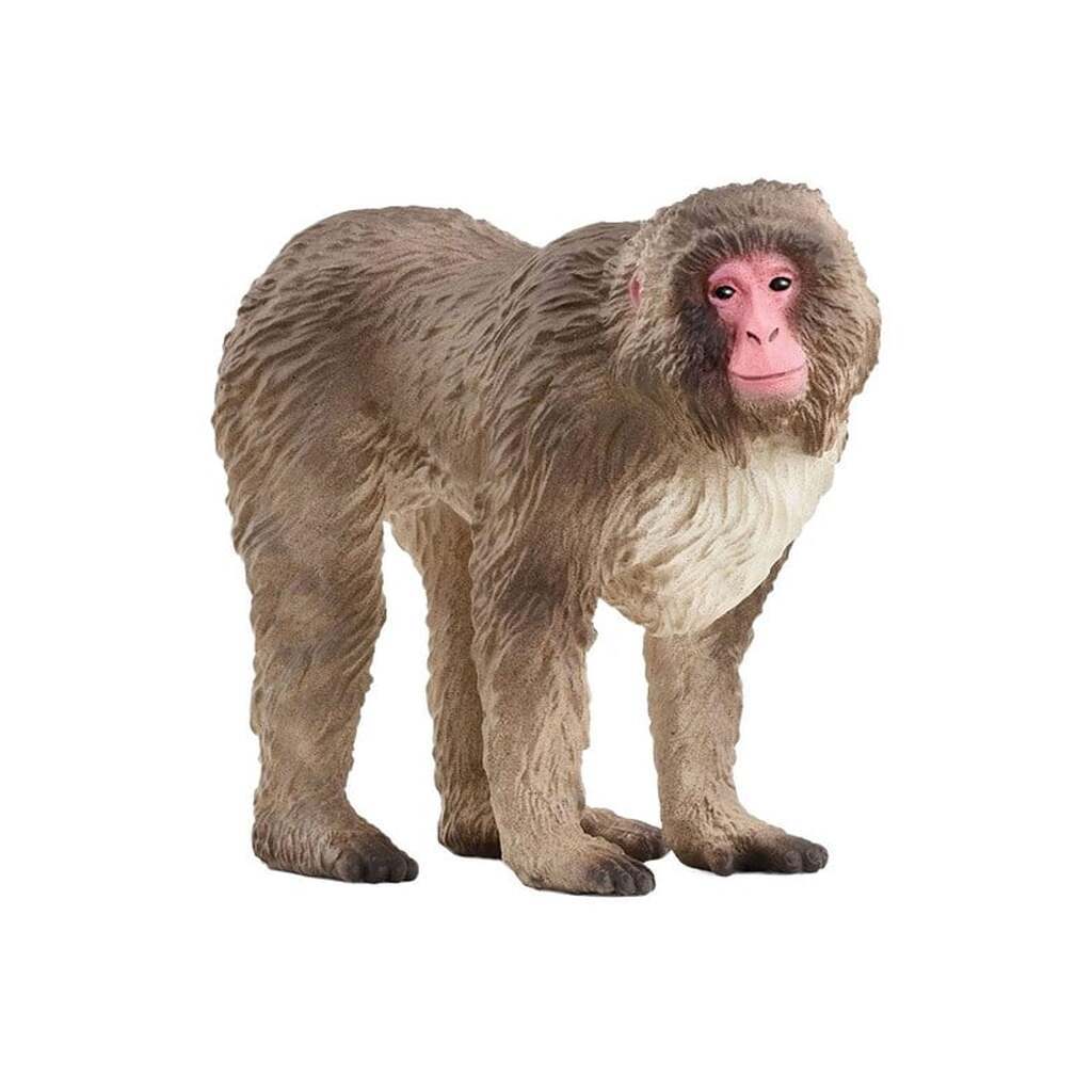 Schleich Japansk Makakabe