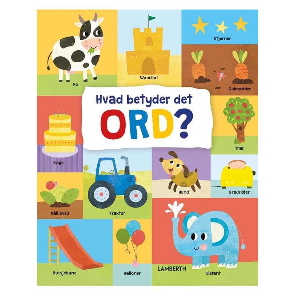 Hvad betyder det ord? - Børnebog - Hardcover