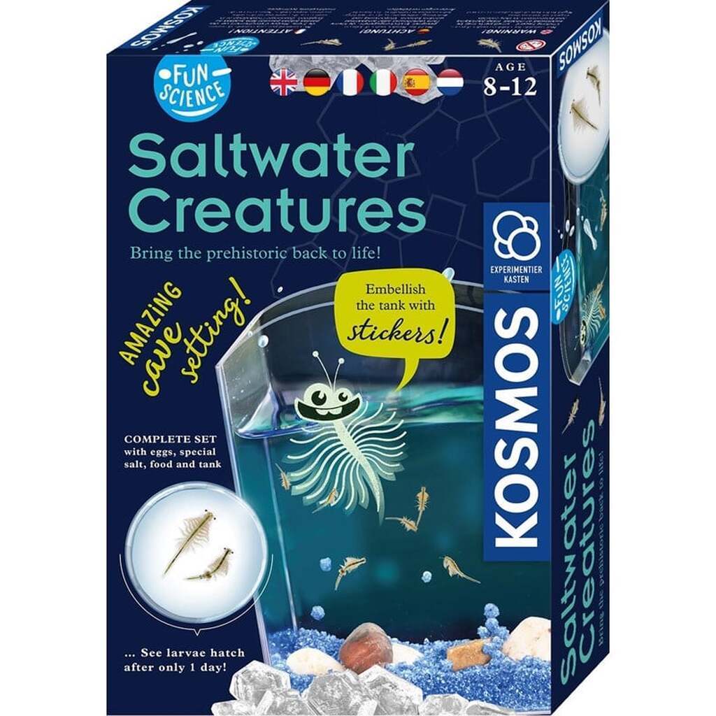 Kosmos - Fun Science Saltwater Creatures (EN)