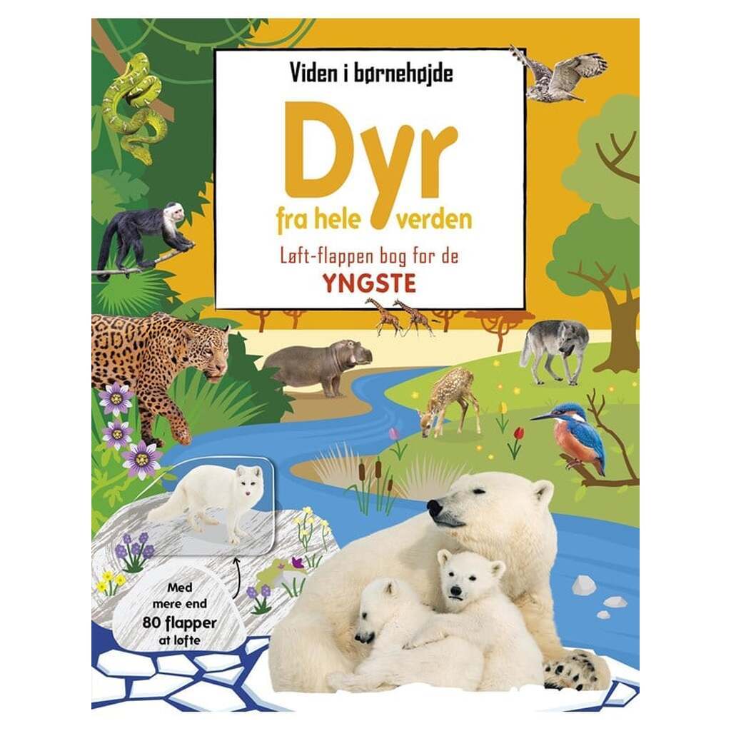 Viden i børnehøjde - Dyr fra hele verden - Børnebog - Hardcover