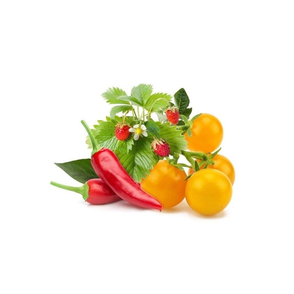 Click &amp; Grow Click and Grow - Smart Garden Refill 9-pack Fruit and Veggie Mix