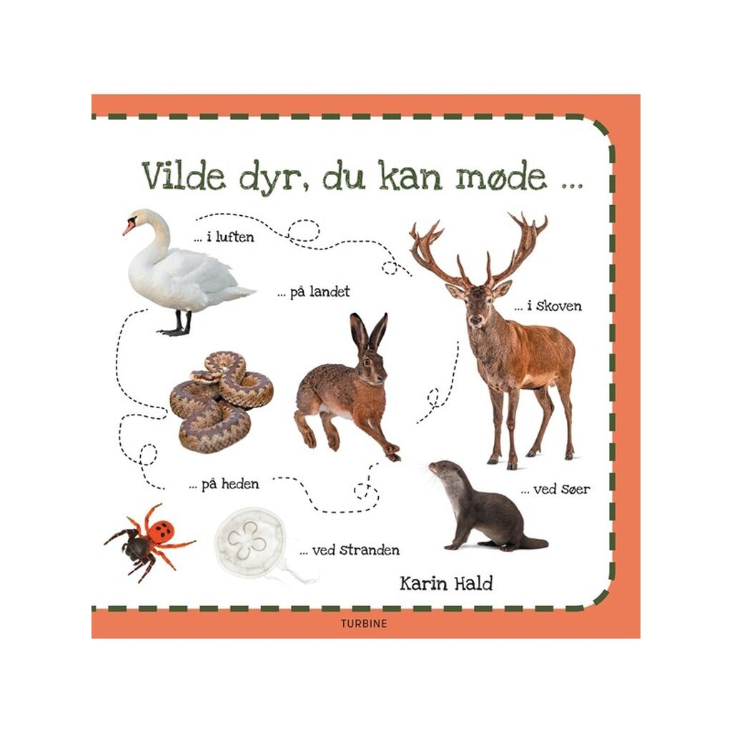 Vilde dyr du kan møde - Børnebog - Papbog