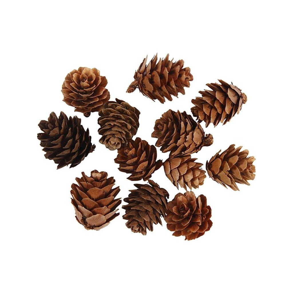 Creativ Company - Larch cones 12 pcs.