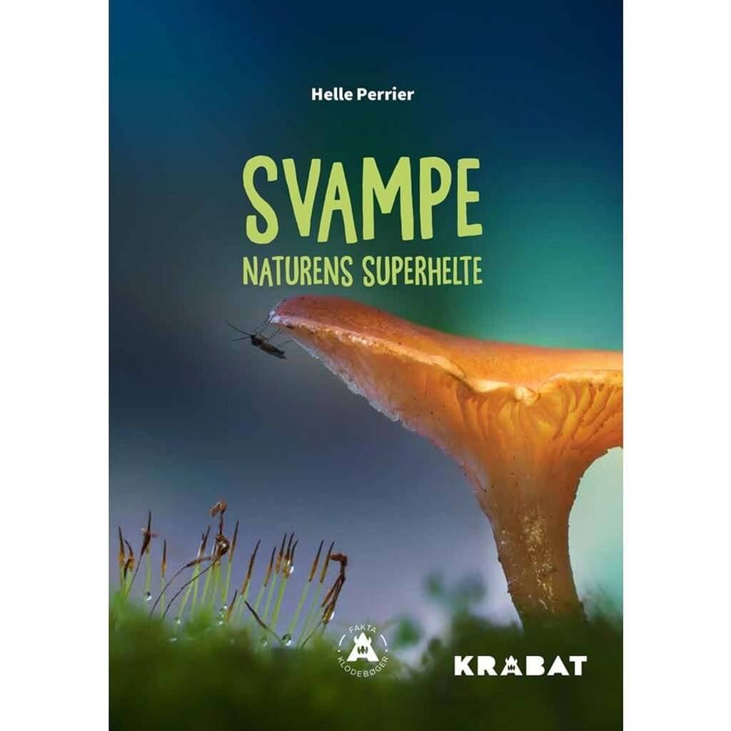 Svampe - Børnebog - Hardback