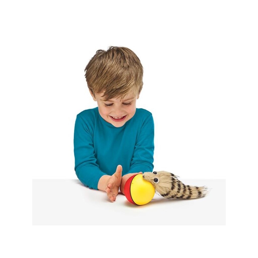 Happy Pets Flip Over Fritte