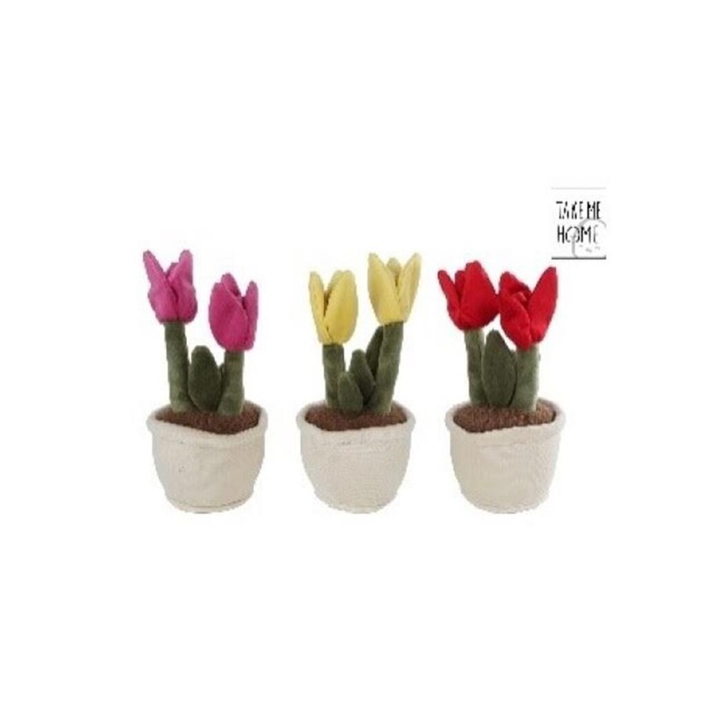Pocket Money Plants Plush tulip 25cm - assorted