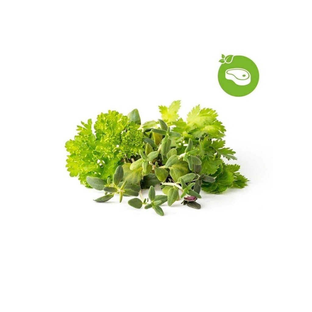 Click &amp; Grow Smart Garden Refill 9-pack Grill &amp; Steak Mix
