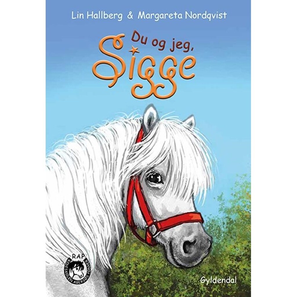RAP-klubben 13 - Du og jeg Sigge - Børnebog - Hardcover