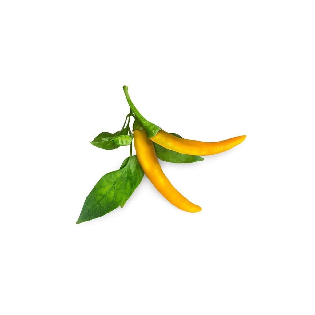 Click &amp; Grow - Smart Garden Refill 3-pack Yellow Chili Pepper