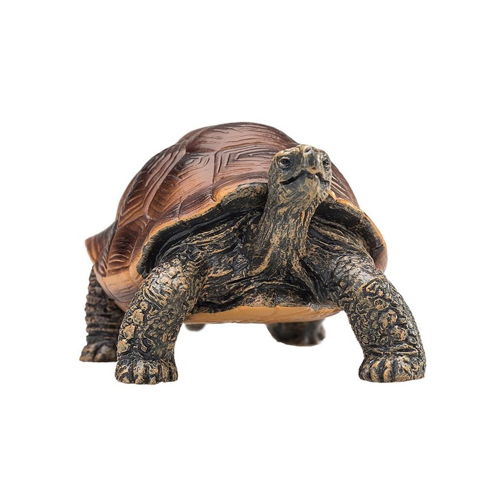 Mojo Wildlife Giant Tortoise