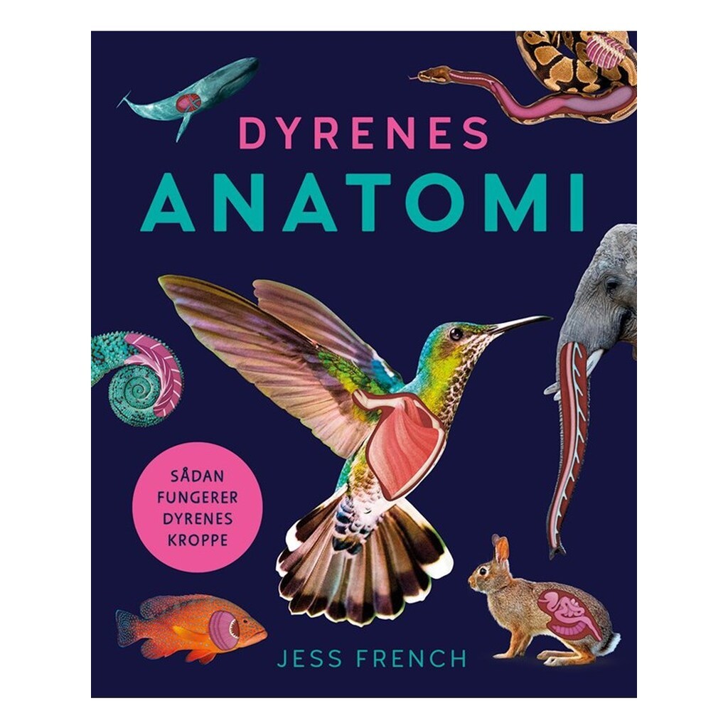 Dyrenes anatomi - Børnebog - Hardback