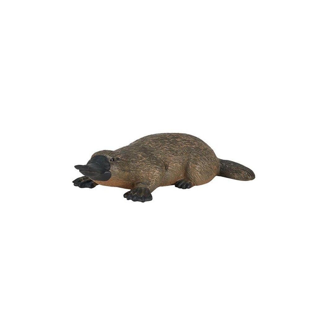 Mojo Wildlife Platypus