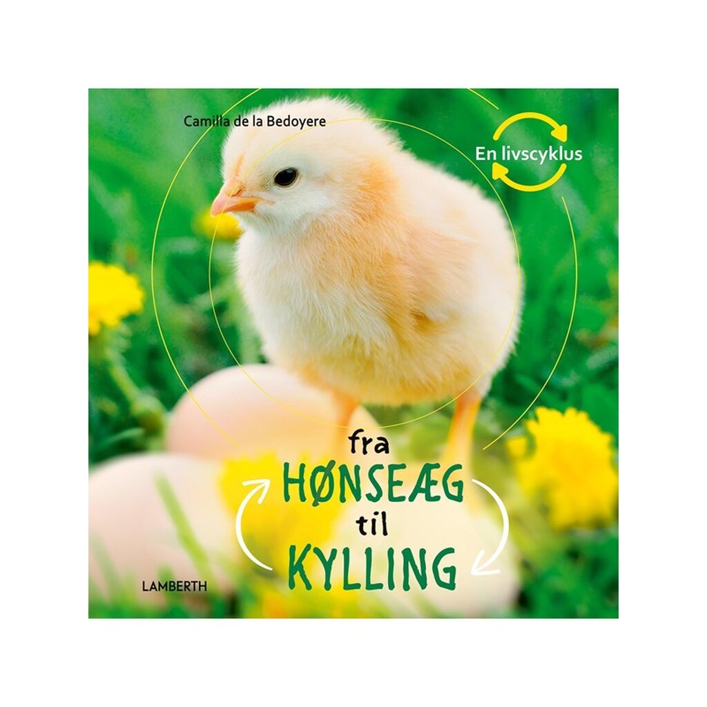 Fra hønseæg til kylling - Børnebog - Hardcover