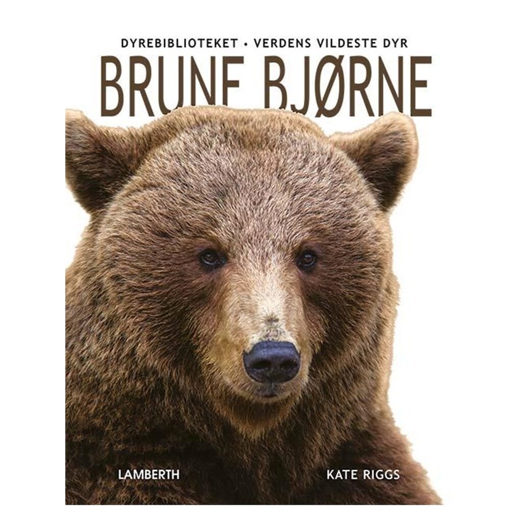 Brune bjørne - Børnebog - Hardcover