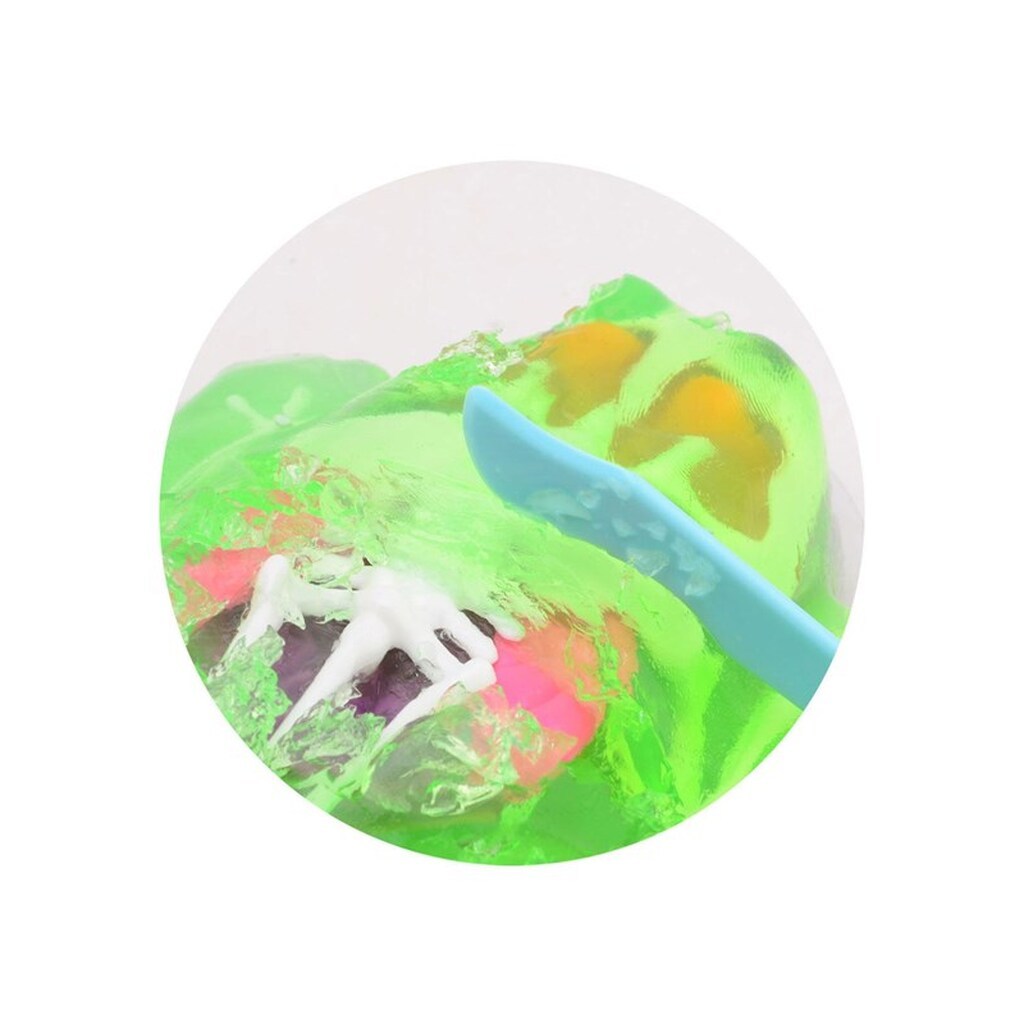 Johntoy Science Explorer Frog Anatomy Slime