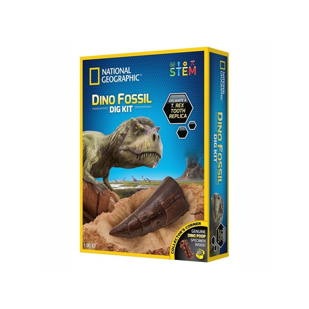 National Geographic Dinosaur Fossil Dig Kit