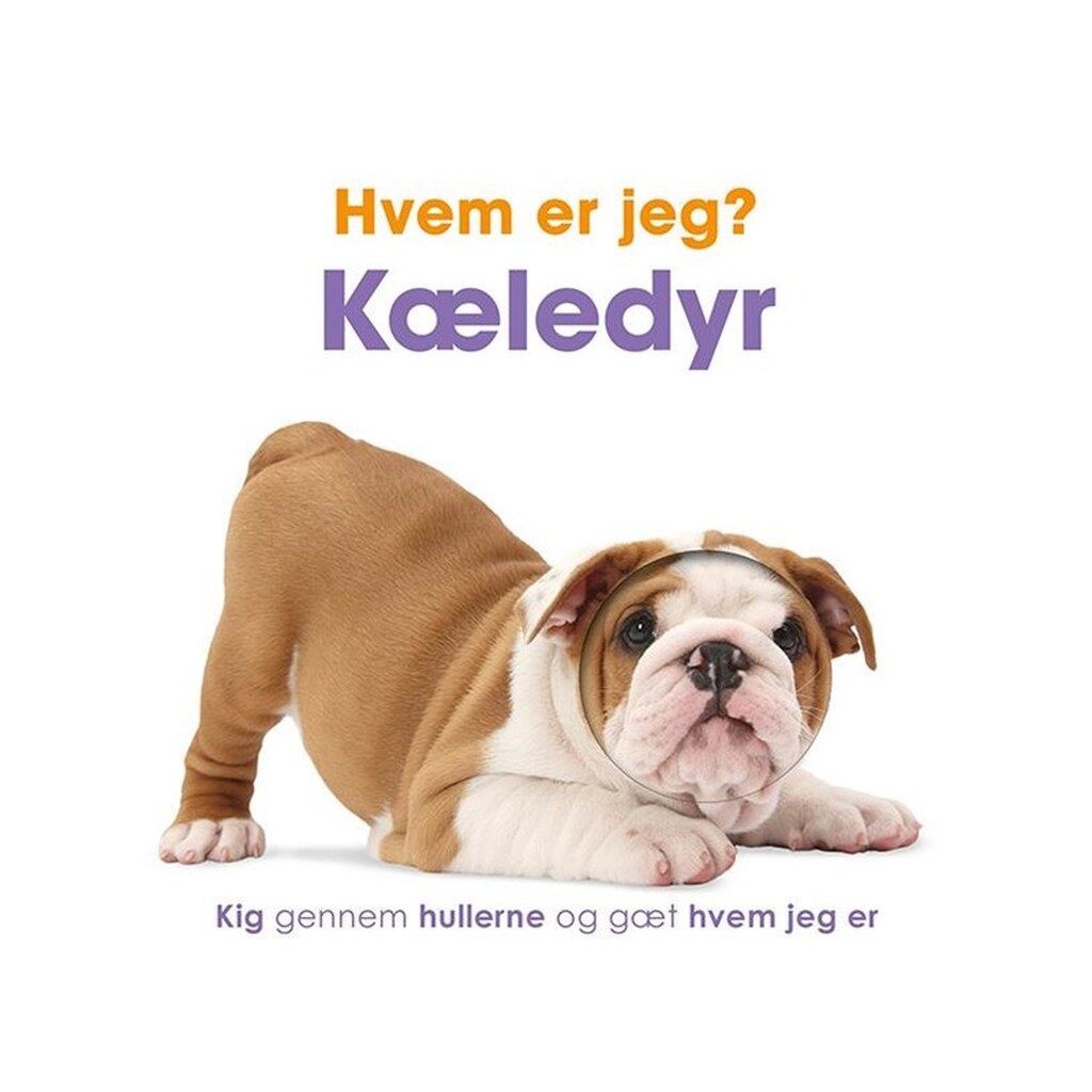 Hvem er jeg? Kæledyr - Børnebog - Papbog