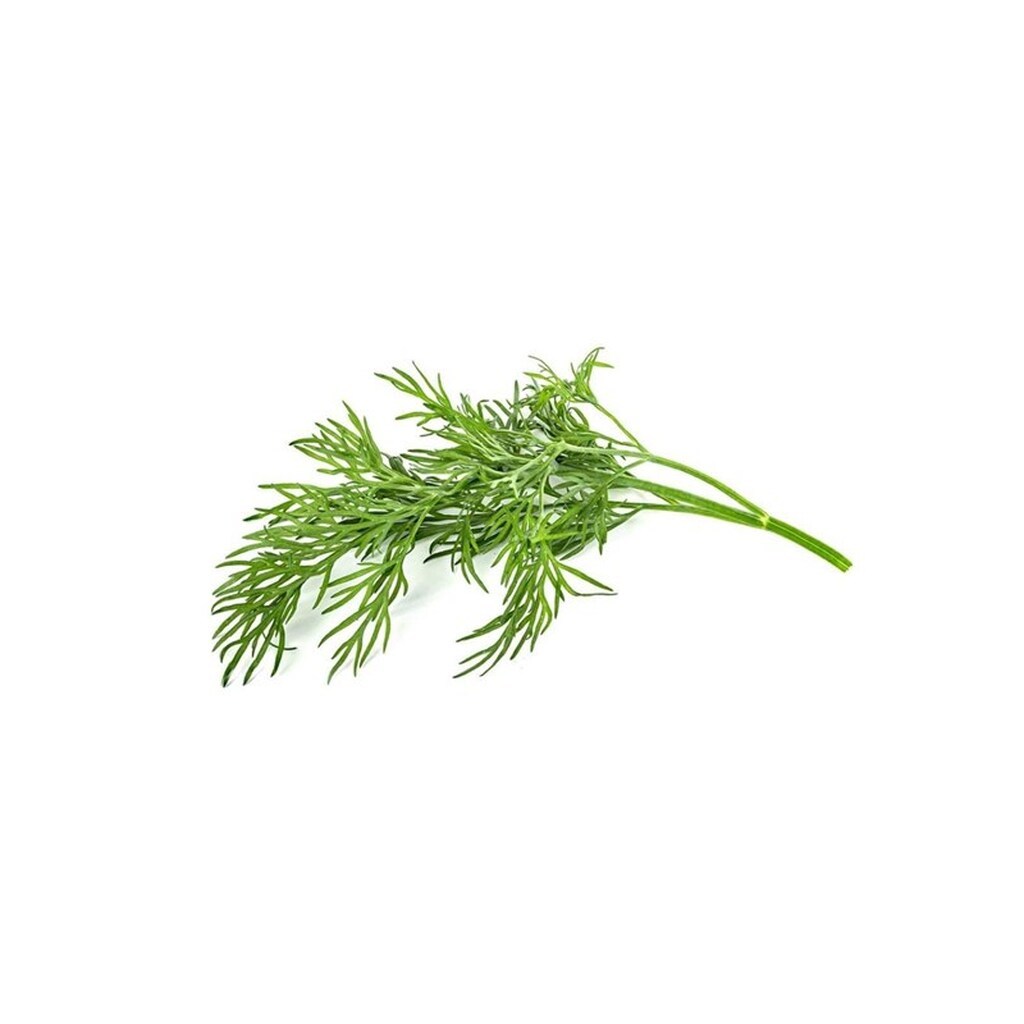 Click &amp; Grow Click and Grow Smart Garden Refill 3-pack - Dill