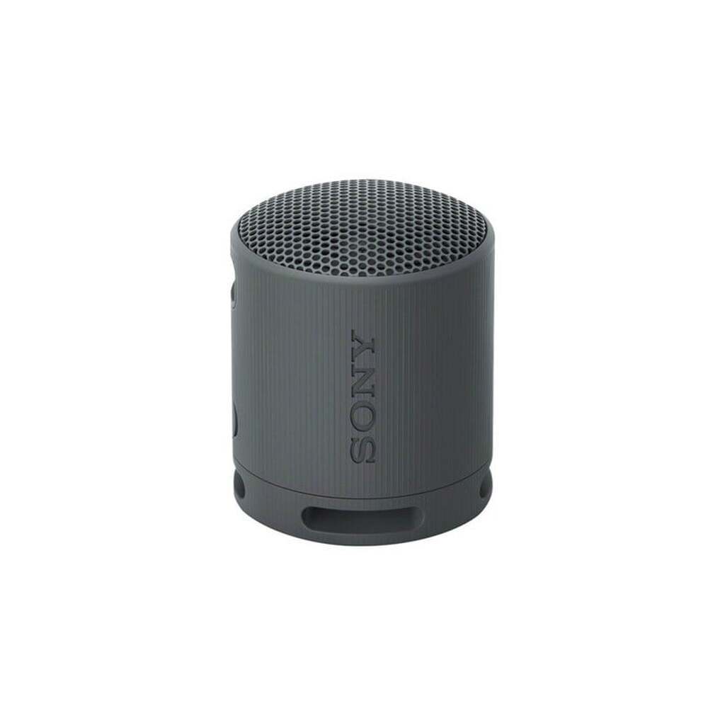 Sony SRS-XB100 - Portable speaker - Black