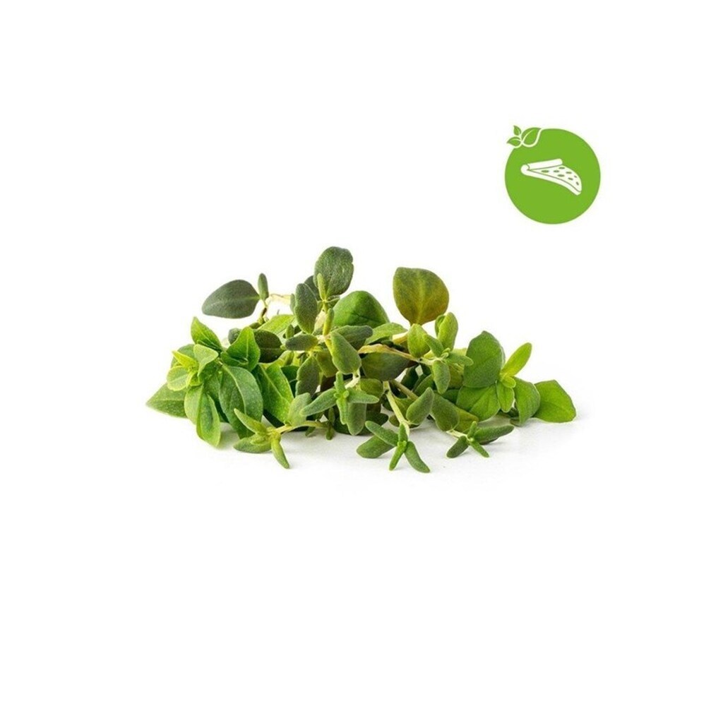 Click &amp; Grow Smart Garden Refill 9-pack Italian Herbs Mix