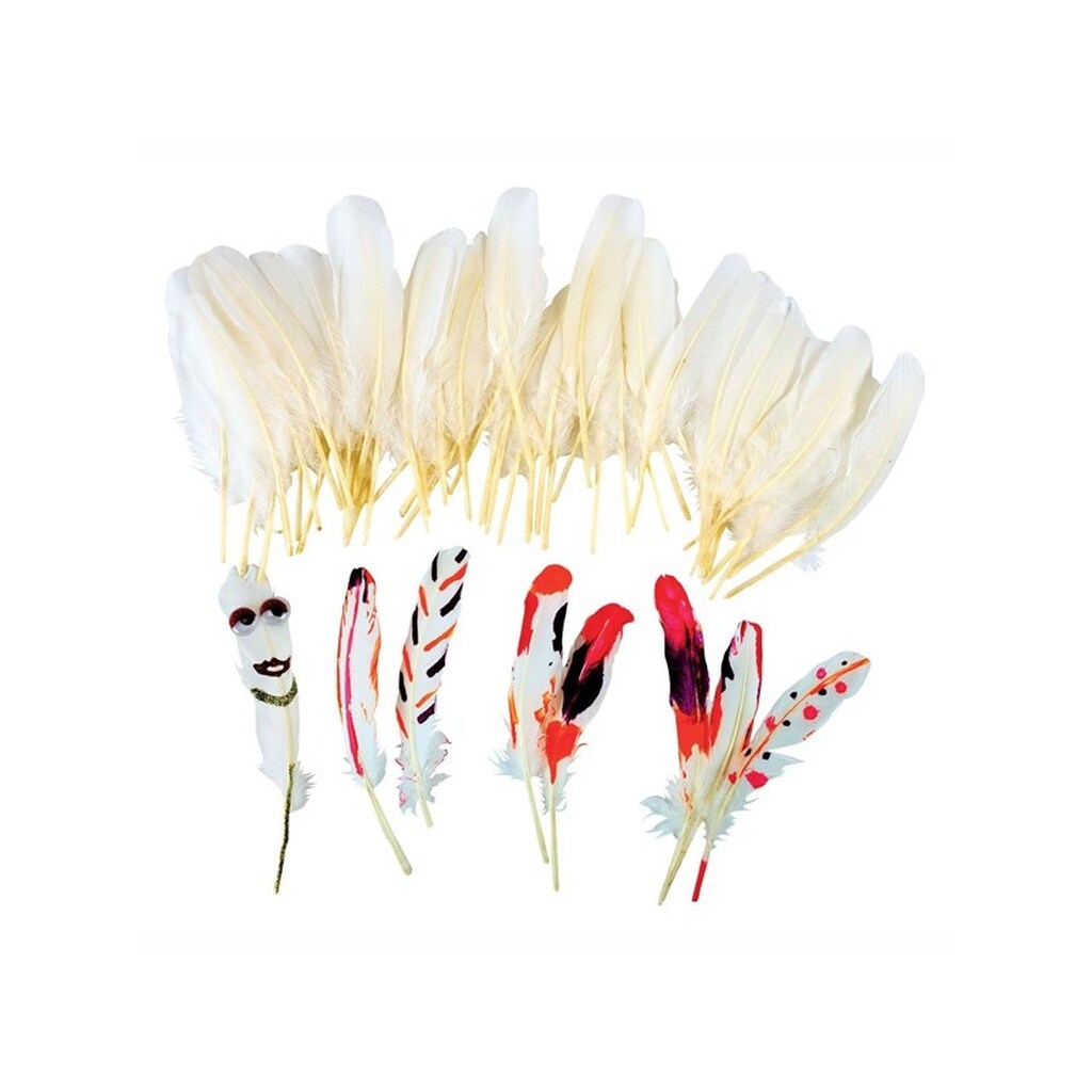 Colorations - White Feathers 48pcs.